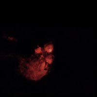 Cat's Paw Nebula
