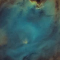NGC 2175