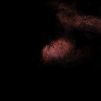Tulip Nebula